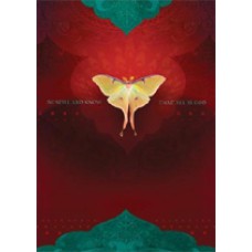 TREE FREE BE STILL SYMPATHY