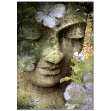 TREE FREE Inner Tranquility