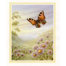 PRINT ROB POHL COLLECTION Peacock