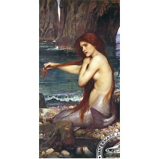 WATERMARK GREETING A MERMAID