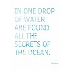 TREE FREE GREETING CARD One Drop