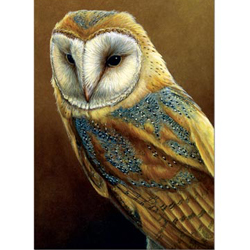 All Occasion Cards (52)