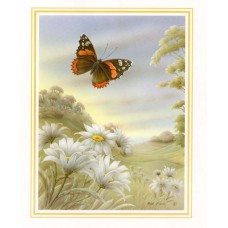 PRINT ROB POHL COLLECTION Red Admiral