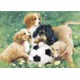 TREE FREE GREETING CARD Puppy Play